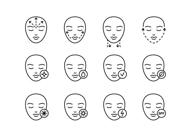 hautpflege des gesichts, liniensymbolsatz. schönheitsästhetisches verfahren an wange, kinn, stirn und hals. lifting durch feuchtigkeitsspendende, anti-age-, spf-creme. gesichtskosmetik. illustration des vektorumrisszeichens - face lift illustrations stock-grafiken, -clipart, -cartoons und -symbole