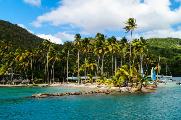 saint lucia - st lucia bay caribbean marigot bay stock-fotos und bilder