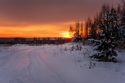 Unusually beautiful orange sunrise on the outskirts of the Ural village (Russia) in winter. Warm morning colors reflect on white snow-covered road. Pine trees with snow on their branches grow nearby.