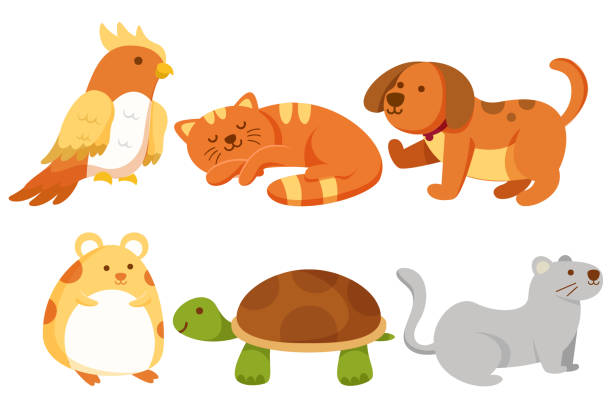 set of various animal isolated on white background illustration collection of various cute animal with Activity in cartoon character Graphic design for banner, sticker advertising party theme Vector illustration sleeping parrot stock illustrations