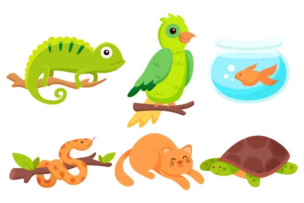 Vector illustration of set of various animal isolated on white background illustration