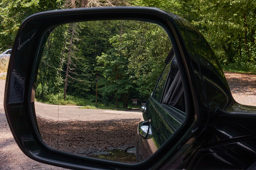 View of the road to the forest through the rearview mirror of the car. You can see dense vegetation and a road strewn with pine cones.