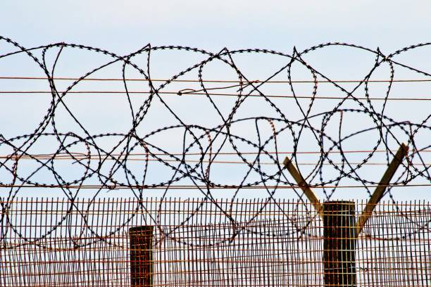 istock Low Angle View Of Barbed Wire Fence Against Sky 1408594963
