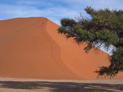 Dunes landscape in Lencois Maranhenses. Brazil. Horizontal format