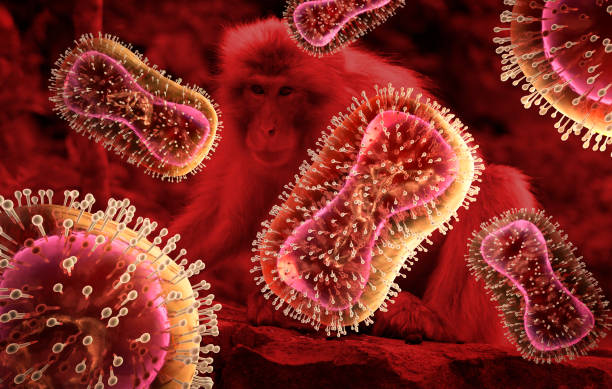 monkeypox virus illustration - 猴痘 插圖 個照片及圖片檔