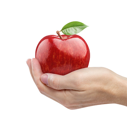 Hand holding delicious red apple, isolated on white background