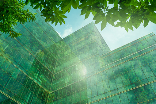 Edificio ecológico en la ciudad moderna. Edificio de oficinas de vidrio sostenible con árbol para reducir el calor y el dióxido de carbono. Edificio de oficinas con entorno verde. Los edificios corporativos reducen el CO2. photo