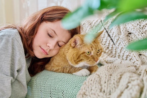 Preteen girl sleeping with ginger cat, close-up face. Young owner of an old pet resting with her eyes closed. Animal, love, friendship, leisure home lifestyle, childhood concept