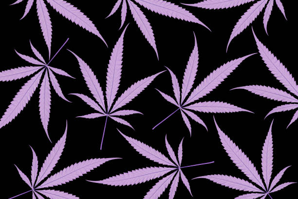 Pattern of purple hemp leaves on black background