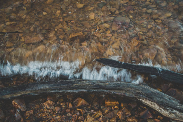 Water and small waves lap the driftwood and pebbles at the edge of a lake