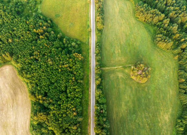 istock Highway through forest with pine trees and lakes, aerial view. 1408603194