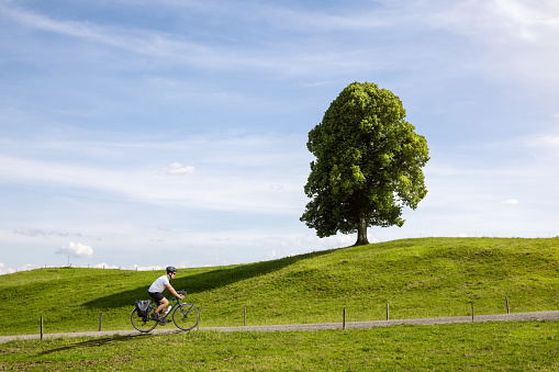 Man on a bicycle with panniers riding up a small hill with a scenic tree.