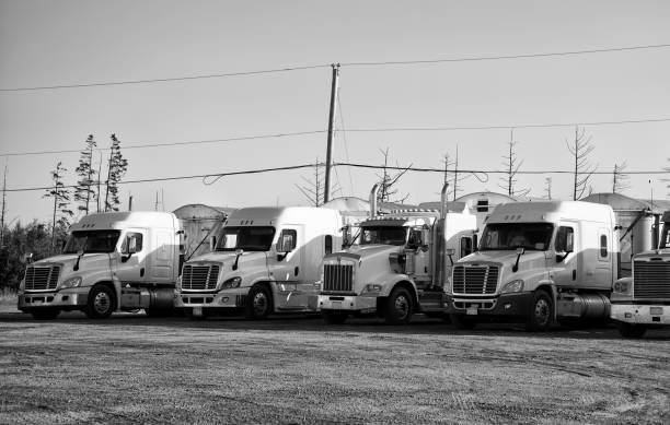 istock White Trucks in a parking lot. 1408603915