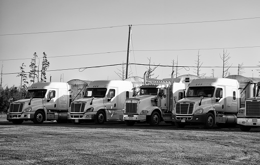 Fleet of modern trucks on light background. Shipment, business transportation. Brandless design. 3D illustration.