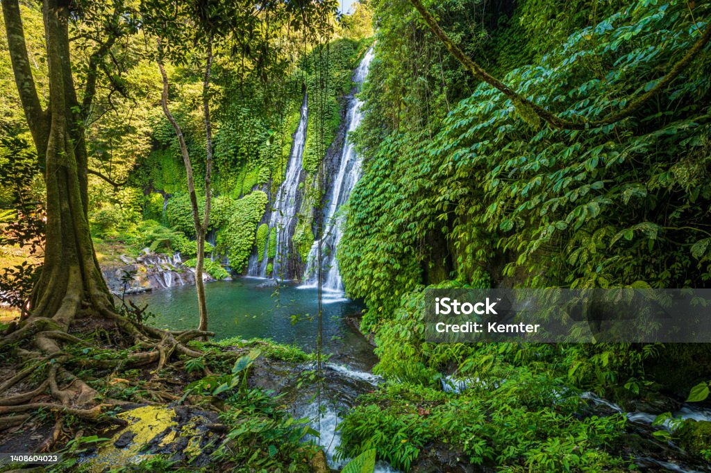 Beautiful waterfall in Bali The beautiful twin-waterfall Banyumala in the rainforest in Bali Rainforest Stock Photo