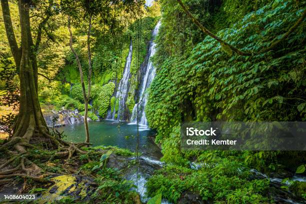 Beautiful Waterfall In Bali Stock Photo - Download Image Now - Rainforest, Bali, Indonesia