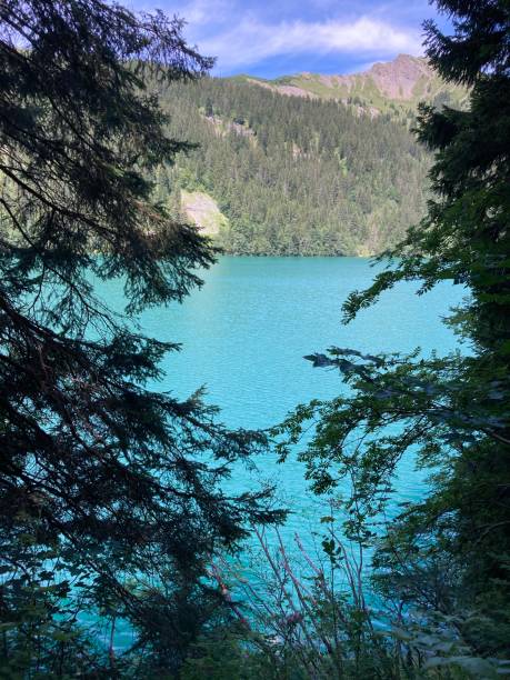 istock Swiss - Arnon lake - Bern canton 1408607087