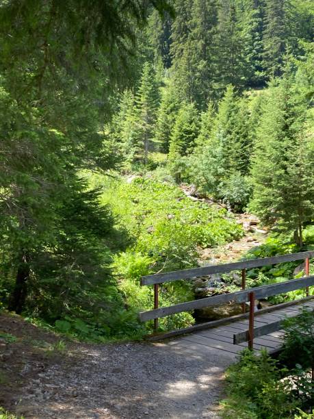 istock Swiss - Arnon lake - Bern canton 1408608356