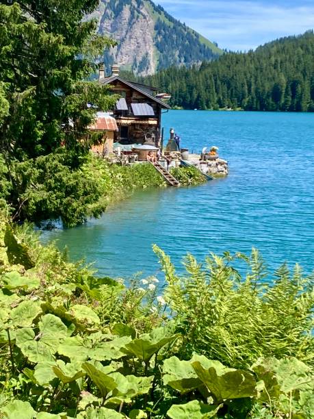 istock Swiss - Arnon lake - Bern canton 1408608836