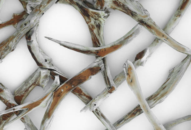 istock decorative wooden background with cut branches 1408609412