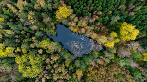 istock A small lake autumn colors 1408610905