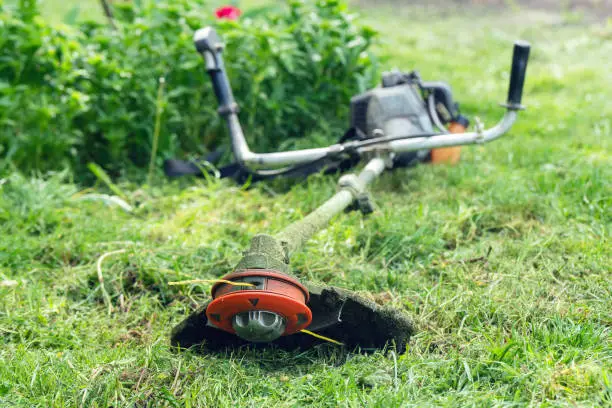 Garden gasoline trimmer lies on the grass.