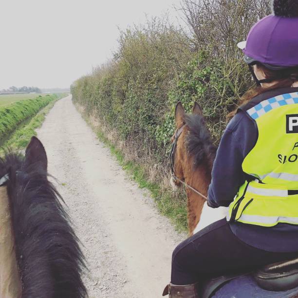 istock Horse riding equipment 1408614416
