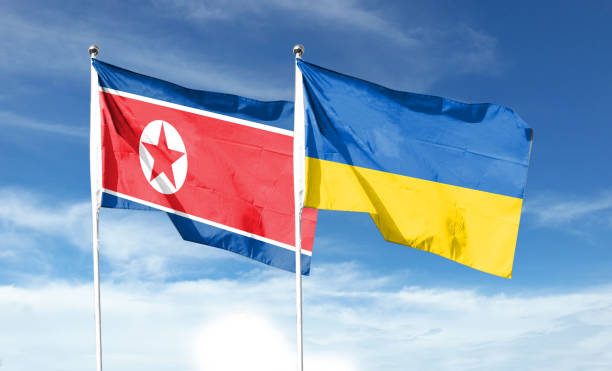istock Twin Flags Ukraine and North Korea Waving Flags on Textured Background 1408615658