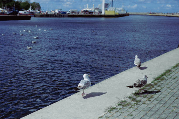 Seaside pier in Ustka, Baltic Sea, Port