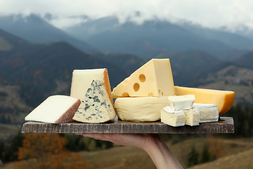 Woman holding board with different types of delicious cheeses against mountain landscape, closeup