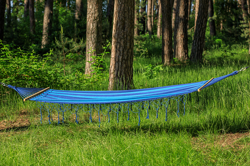 Bright comfortable hammock hanging in green forest, closeup