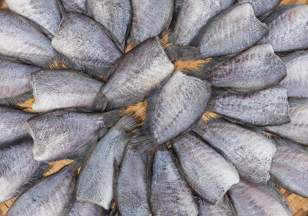 istock Fish are cleaned and trimmed. And ready to cook 1408624123