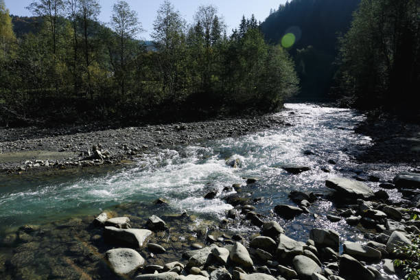istock Mountain river flowing on sunny day. beautiful landscape 1408624344