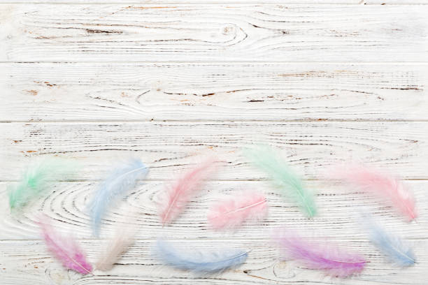 istock background of brightly colored dyed bird feathers on Colored background, top view. Copy space 1408626295
