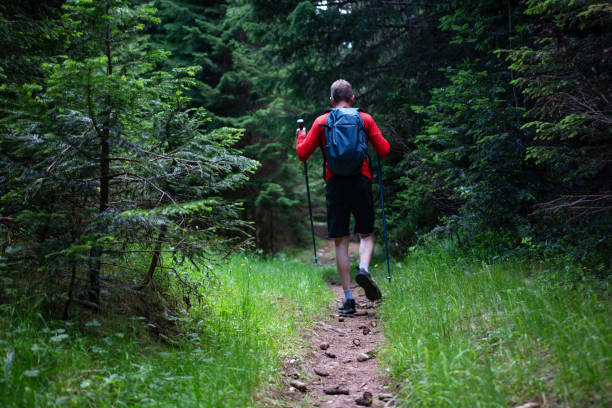 istock Young man hiking deep in the forest 1408626721