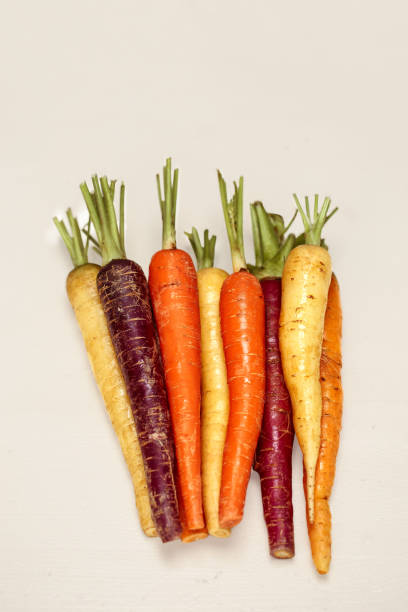 istock Different color organic carrots - purple, white, orange on grey  background 1408636983