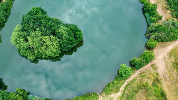 istock Guildford Riverside Nature Reserve Surrey England 1408637063