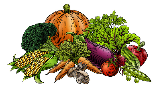 Vegetables and fruit food produce illustration in a vintage retro woodcut etching style.