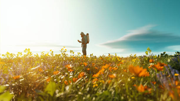 Chemical worker measues the effect of climate change Concept of climate change  Chemical worker uses device to measure the dangerous levels of radiation or pollution in a meadow with flowers. Soil treatment stock pictures, royalty-free photos & images