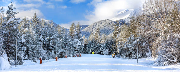 pista de esquí y montañas pirin, bansko, bulgaria - snowboard non urban scene woods snowboarding fotografías e imágenes de stock