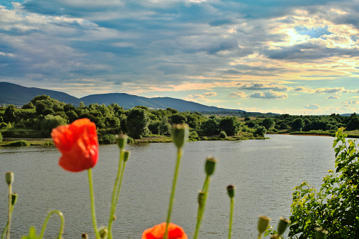 Fresh water lake near to mountains and red poppies in front of it.