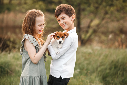 Happy playful kids boy and girl holding loving pet jack russell terrier puppy in hands while walking outdoors. Friendship, animal care. Childhood. lifestyle.