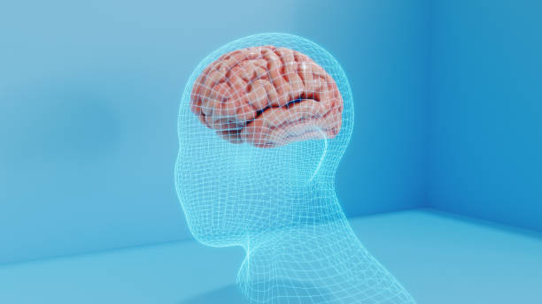 See through view of a brain in a head with a grid pattern