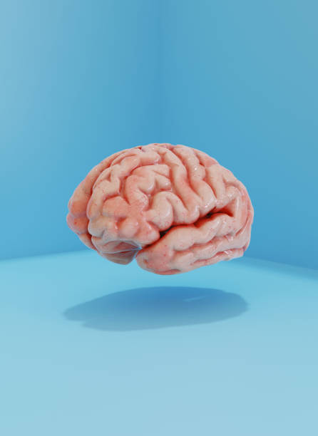 istock Illustration of human brain on blue background 1408654673