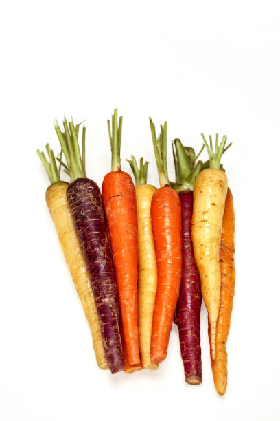istock Different color organic carrots - purple, white, orange on grey  background 1408654920