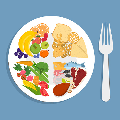 Healthy plate vector isolated. Inforgaphic of a proper diet, healthy nutrition. Balanced, full of protein, fruits and vegetables diet. Educational information