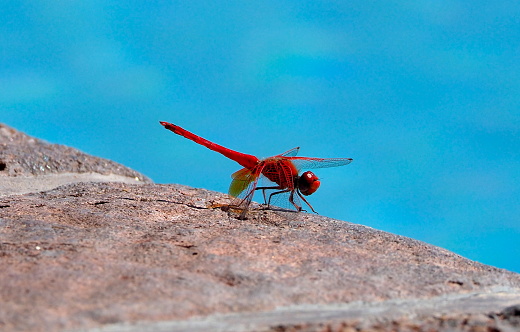 in Erongo region, Namibia