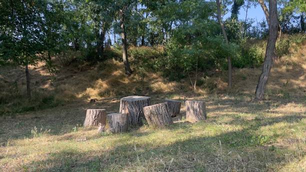 istock Table and chairs made of wooden logs 1408659724