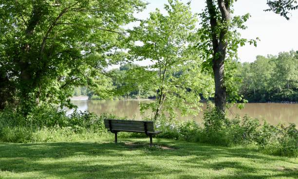 istock Peaceful View of River 1408661234