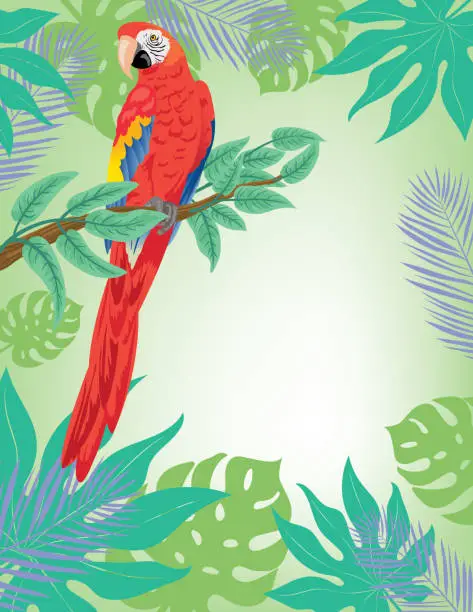 Vector illustration of Brightly Colored Tropical Background Invitation Template With Parrot And Room For Text